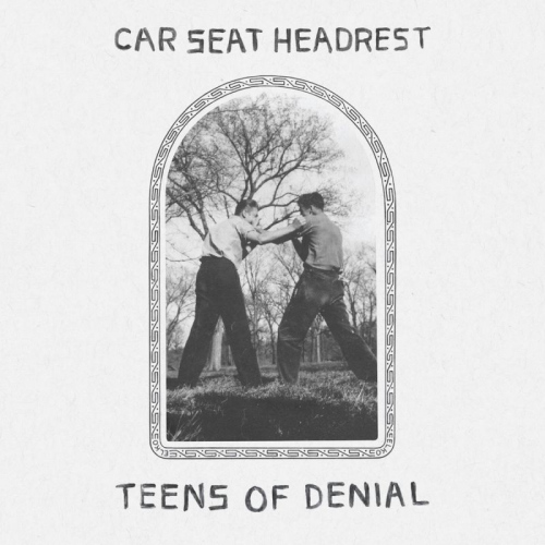 CAR SEAT HEADREST - TEENS OF DENIALCAR SEAT HEADREST TEENS OF DENIAL.jpg